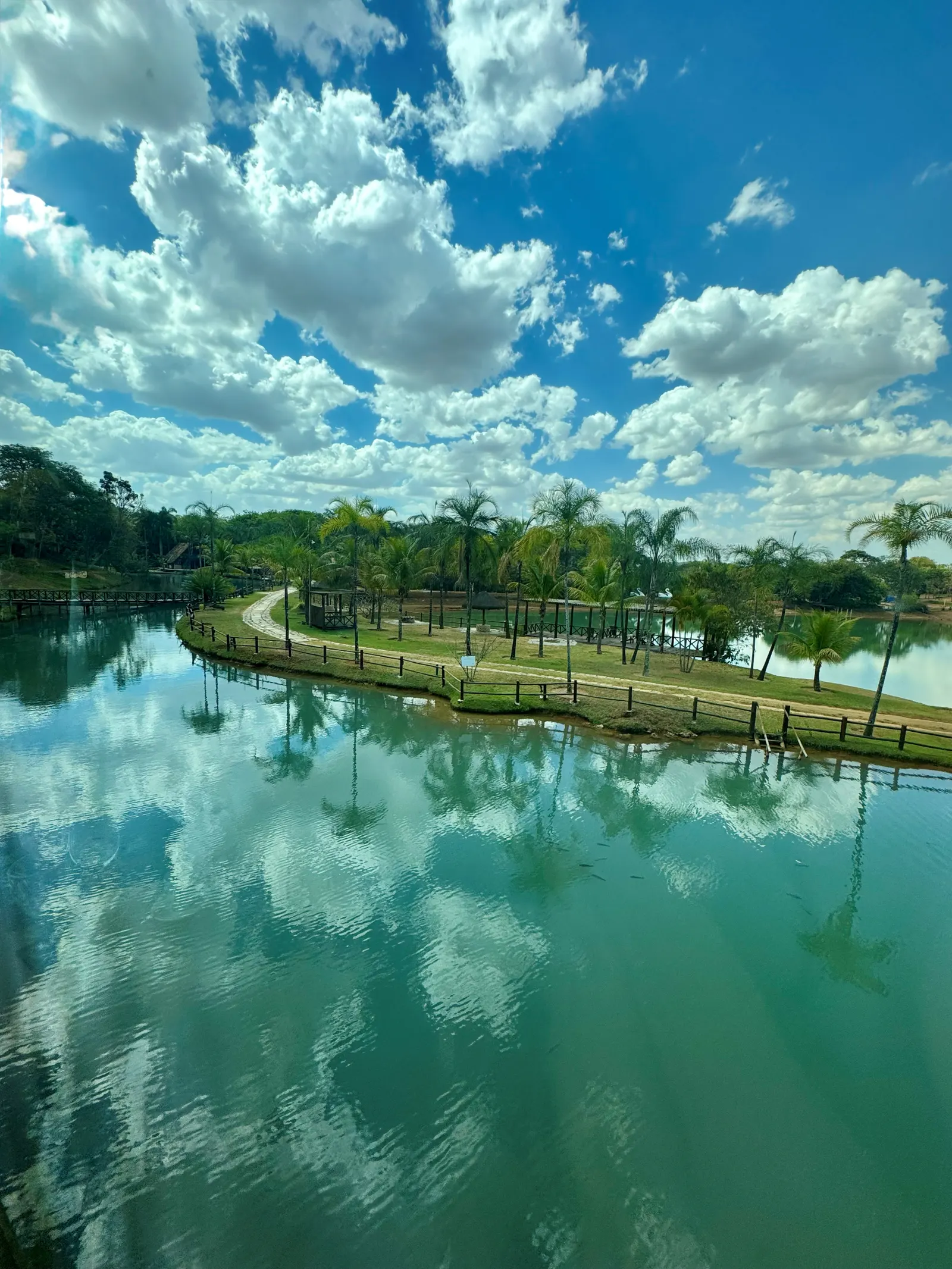 Lago de água esverdeada cercado por gramado e palmeiras, com o céu azul de nuvens brancas refletido na superfície.