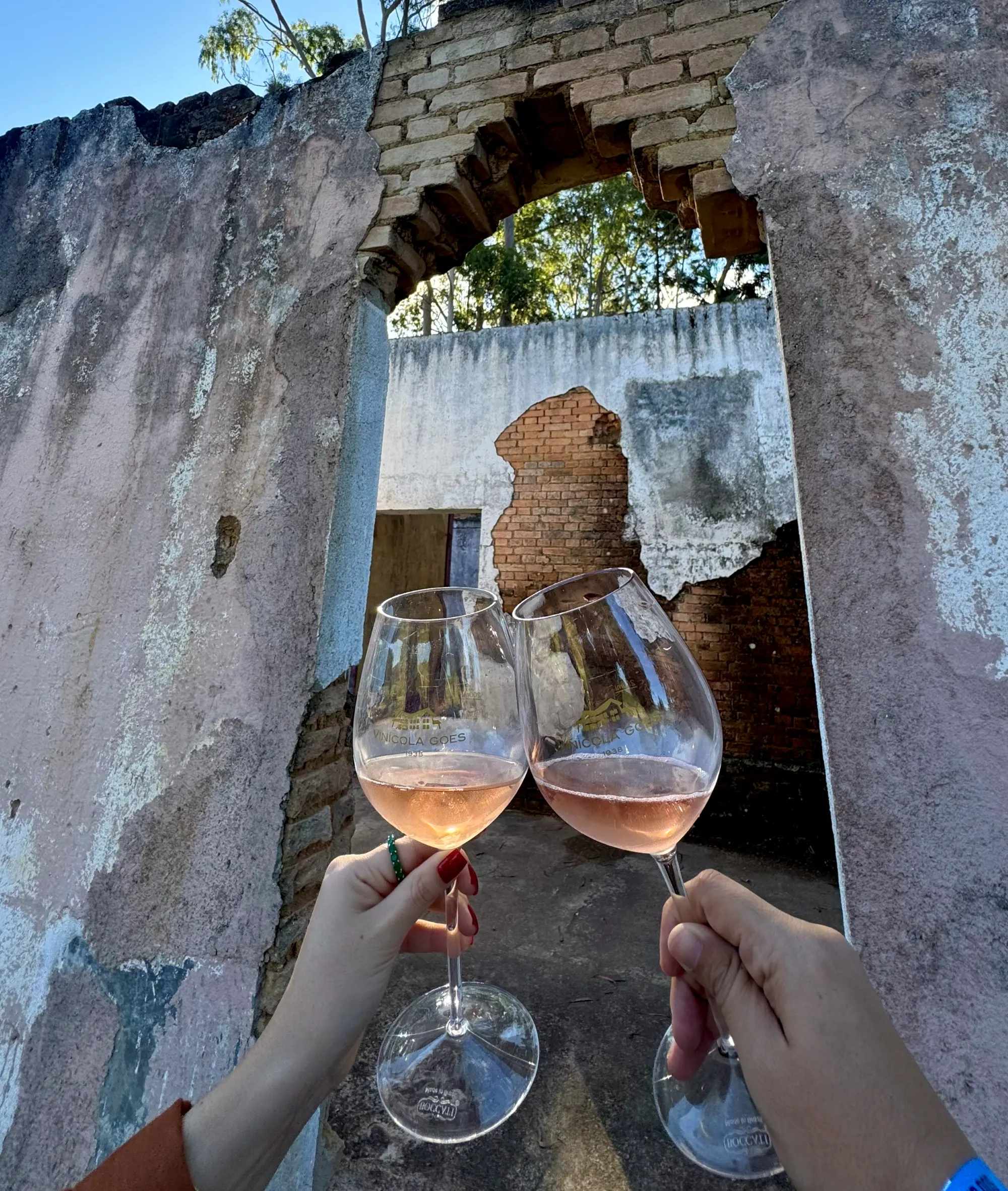 Duas taças de vinho rosé erguidas em brinde por duas mãos, emolduradas pelo arco de uma parede em ruína, com vegetação ao fundo.